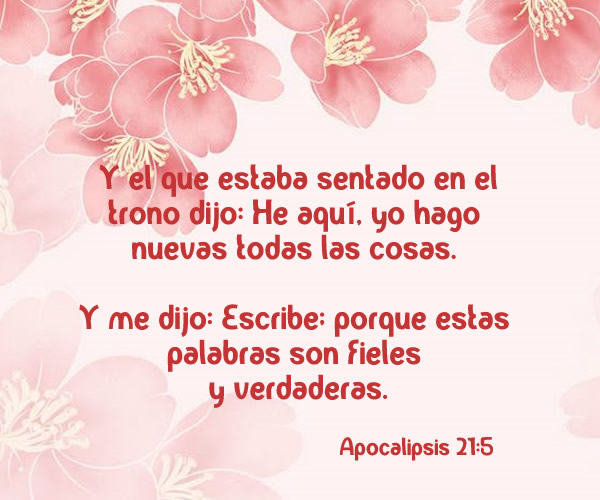 Devocional