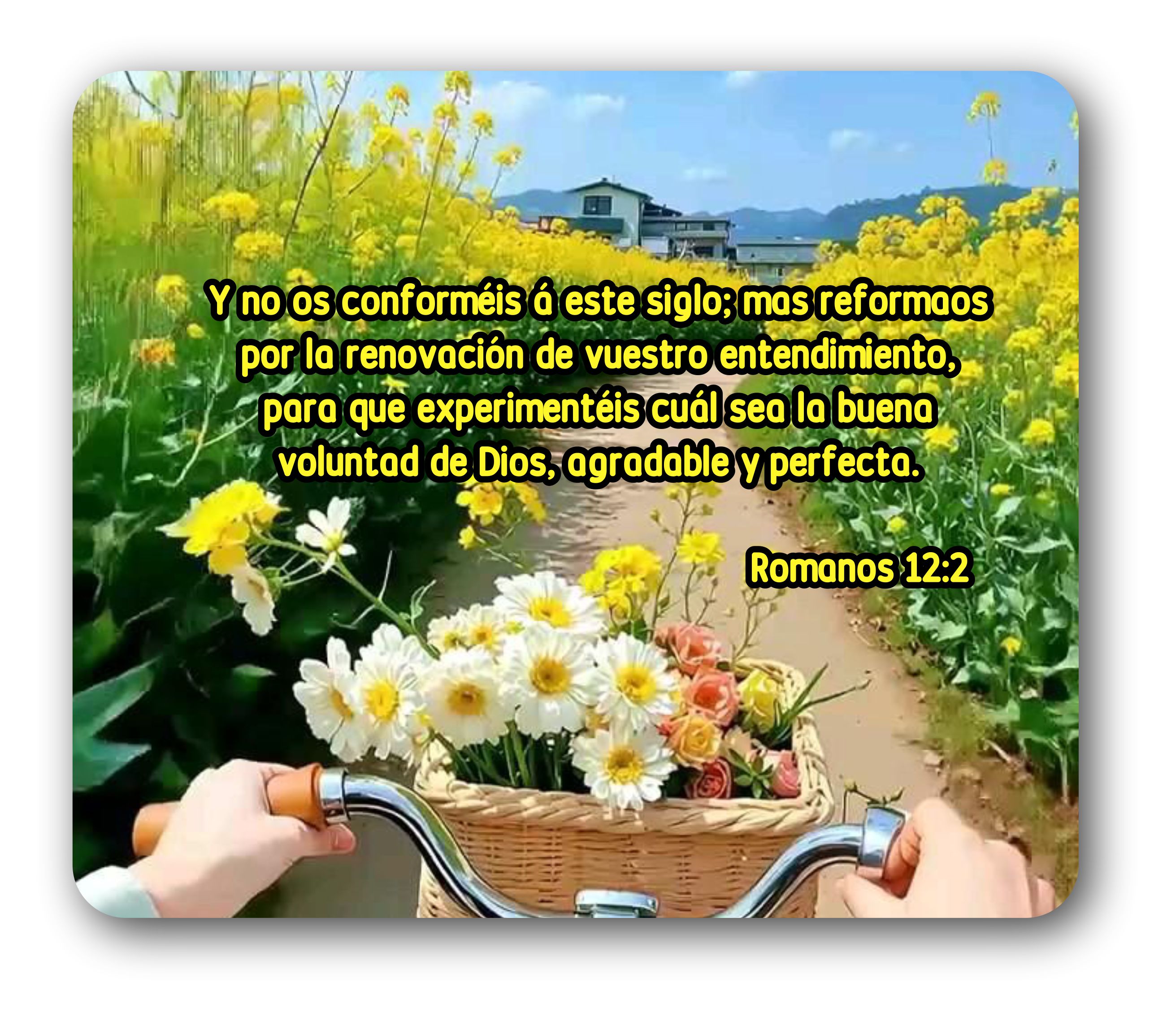 Devocional