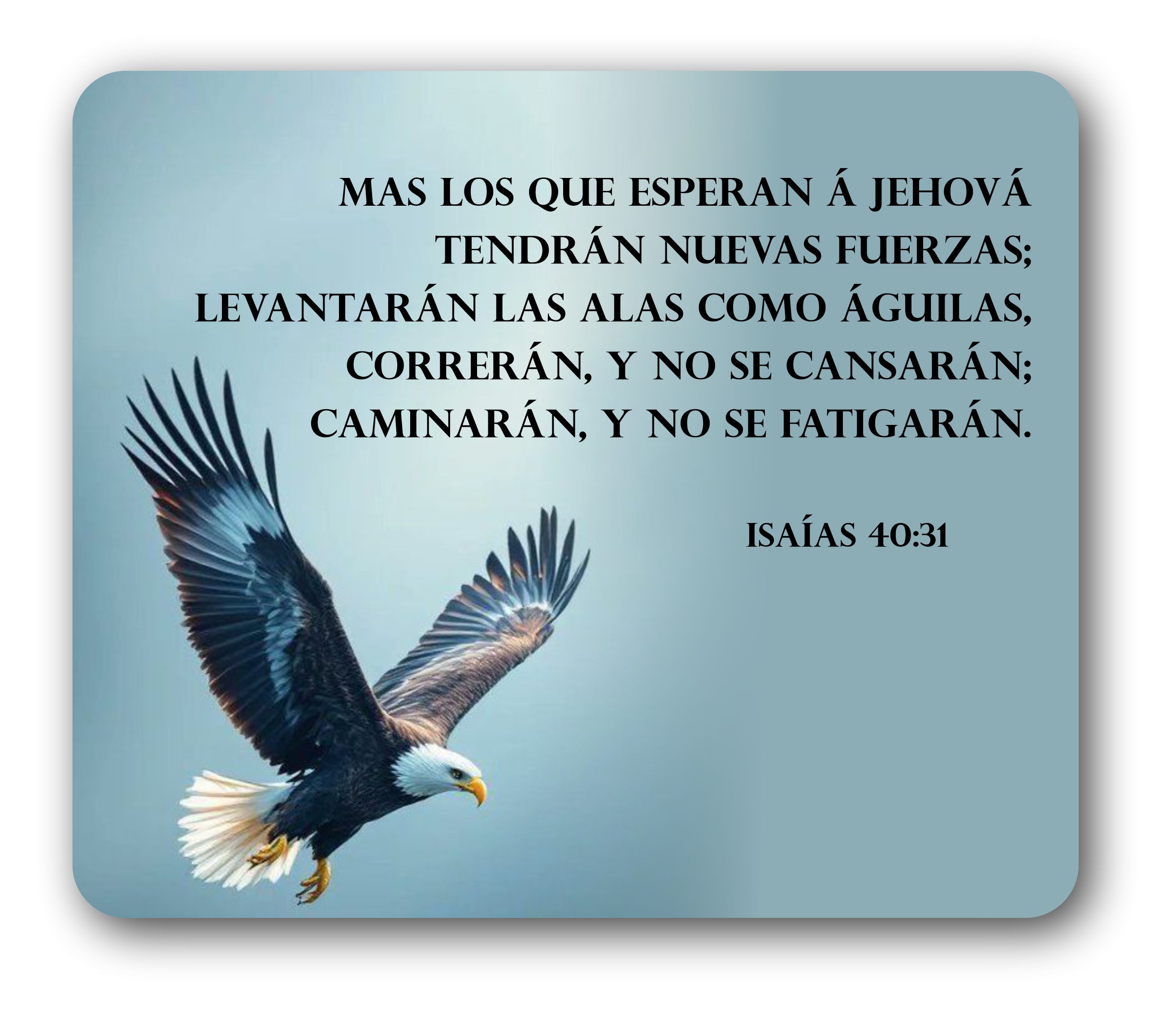 Devocional