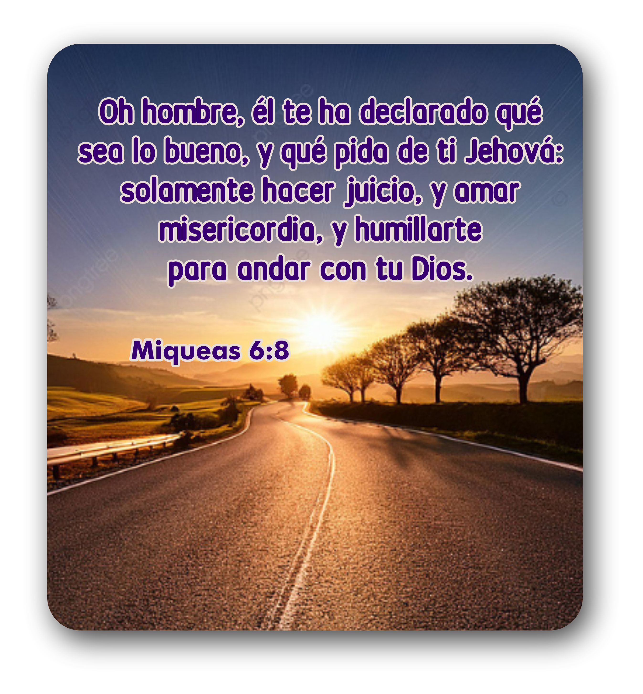 Devocional