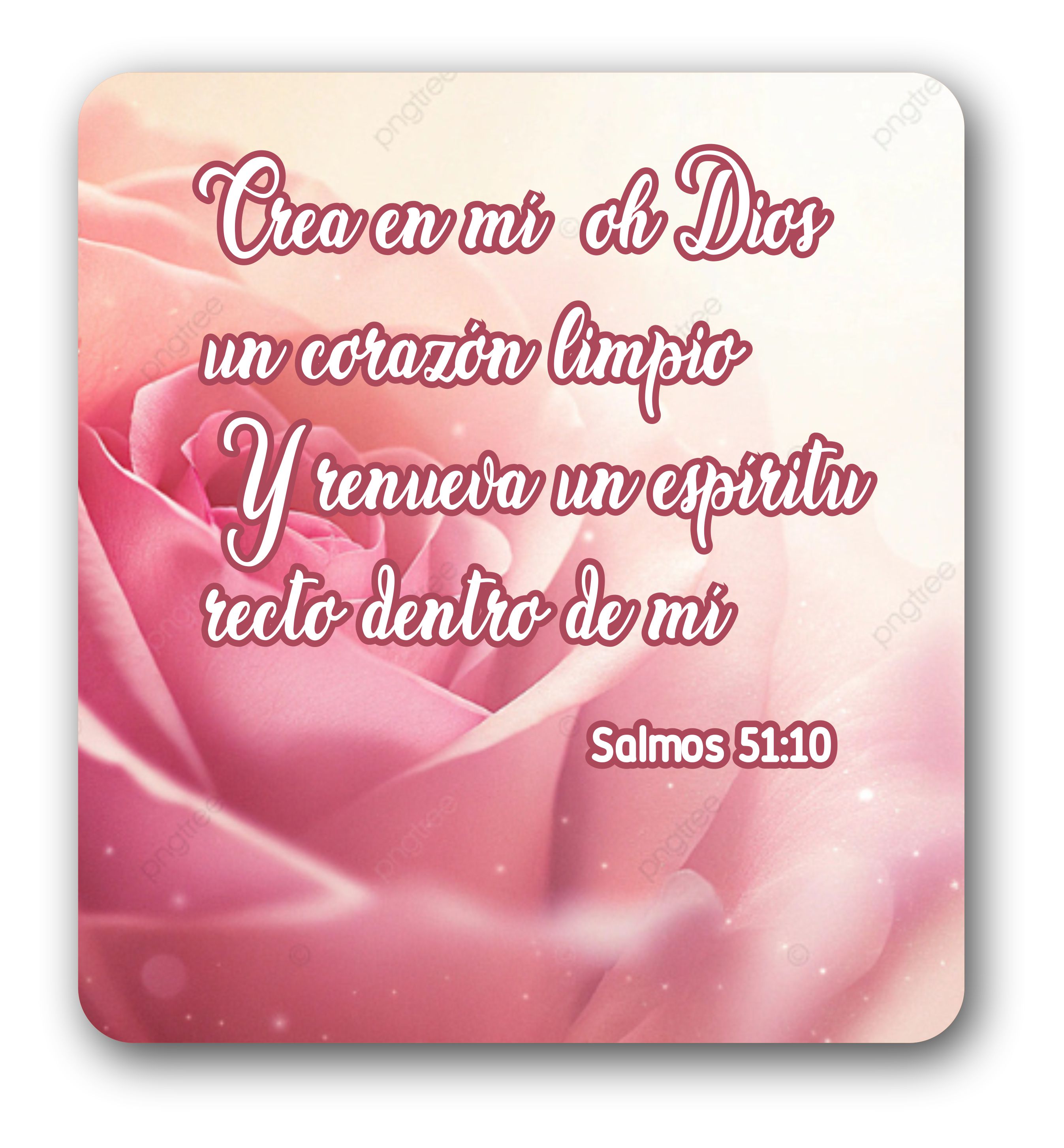 Devocional