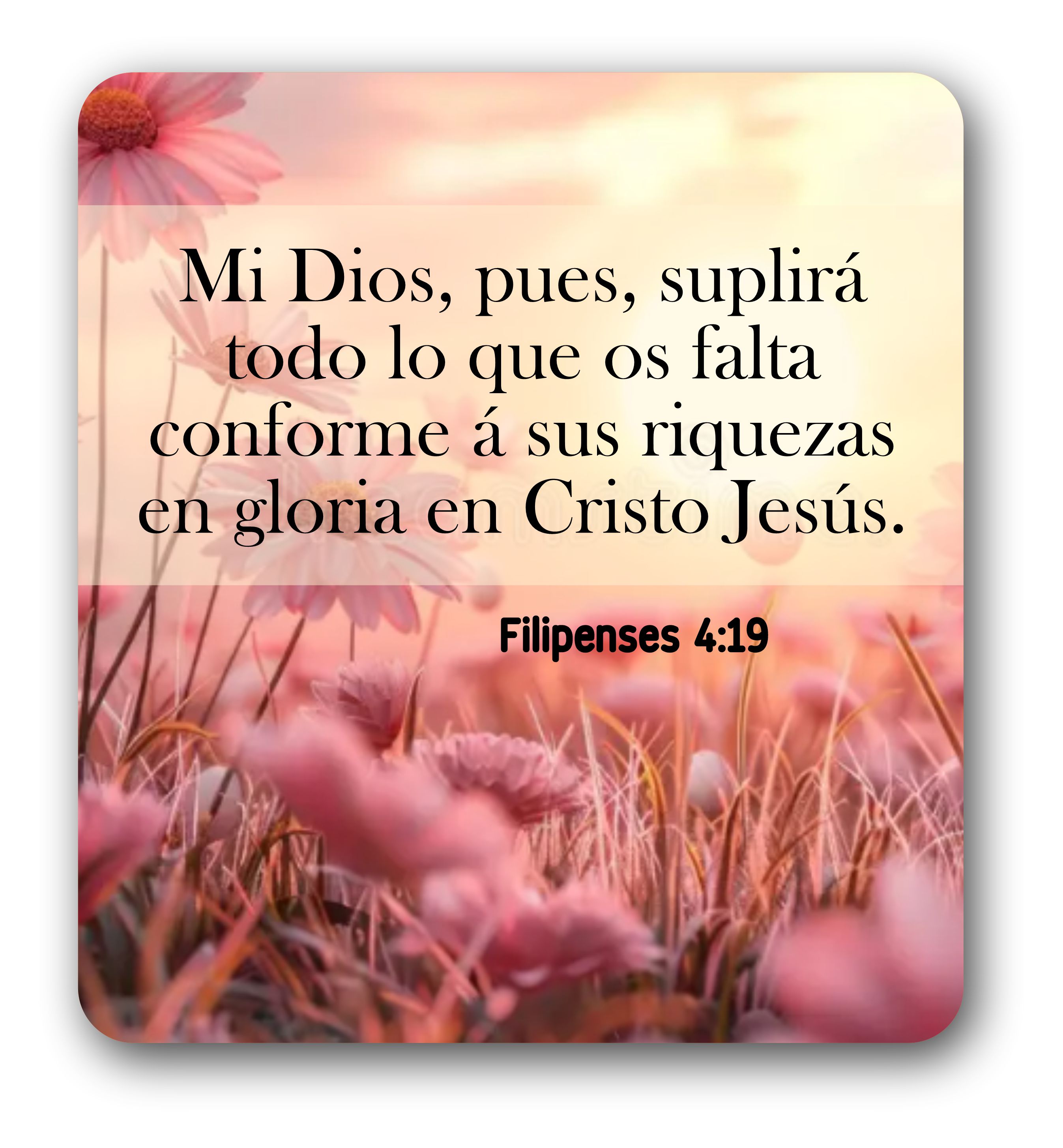Devocional
