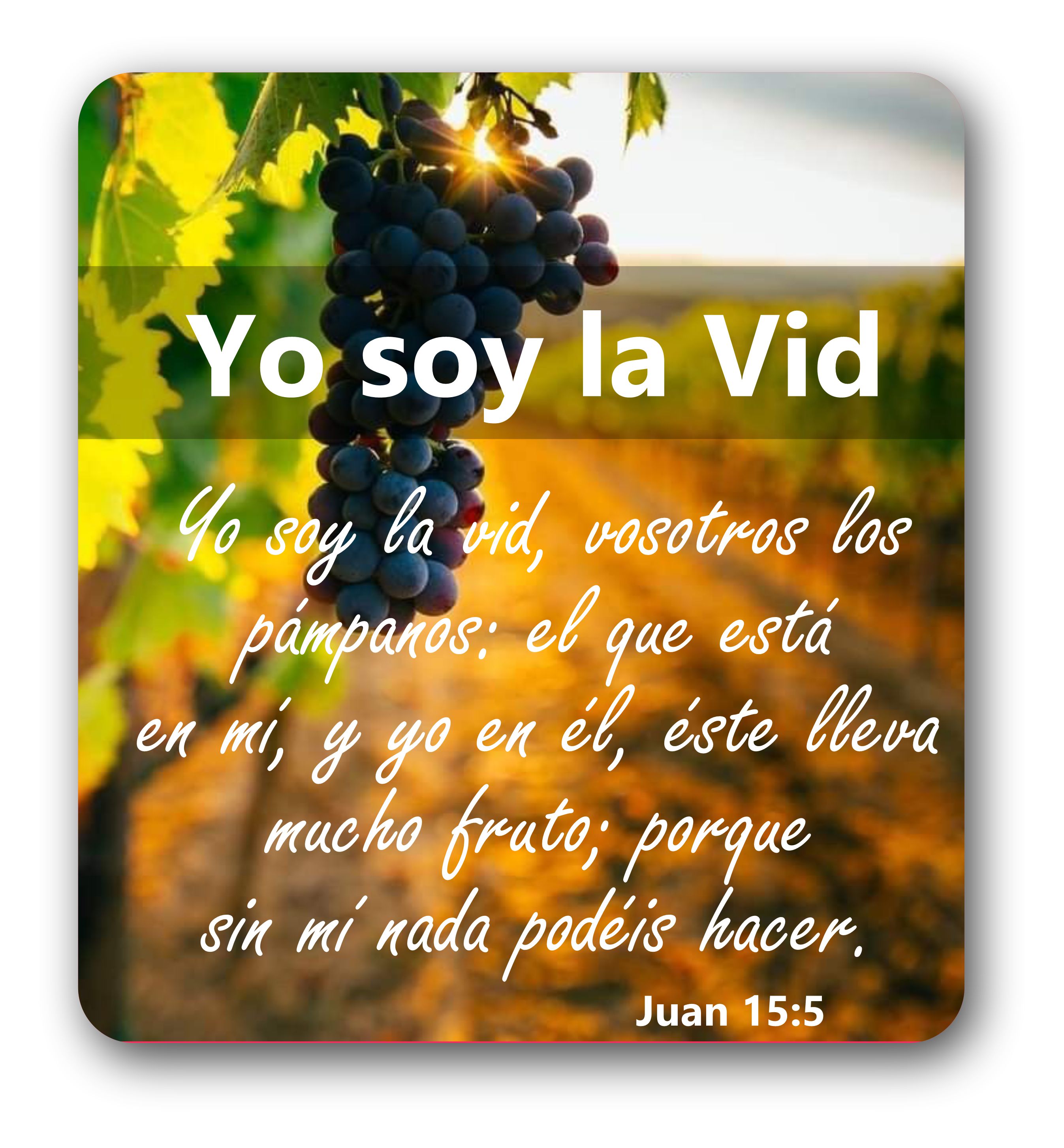Devocional