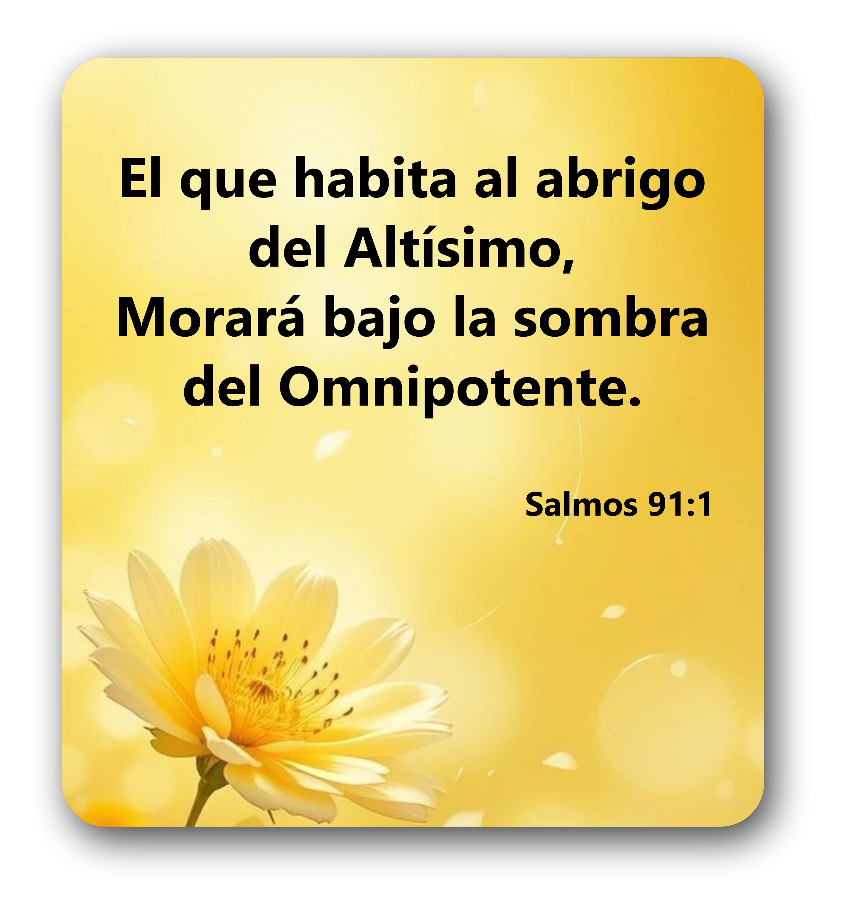 Devocional